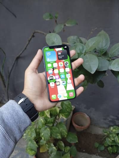 Apple iPhone 12