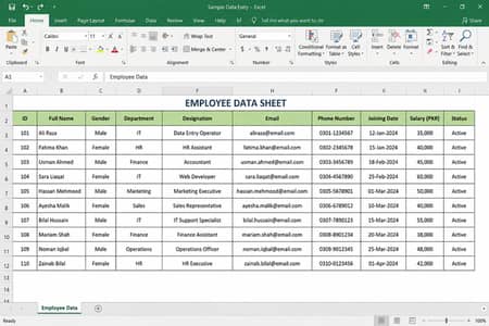 Excel Data entry service