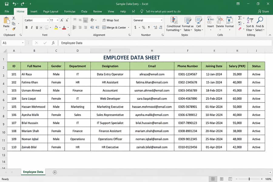 Excel Data entry service 0