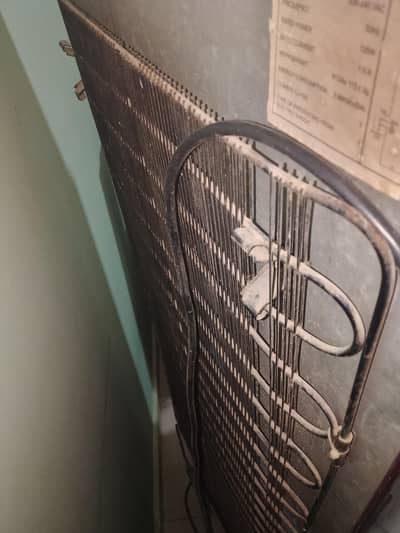 Orient fridge
