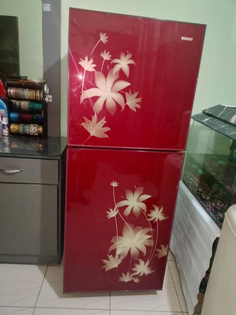 Orient fridge 11