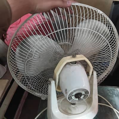 Royal fan ha
