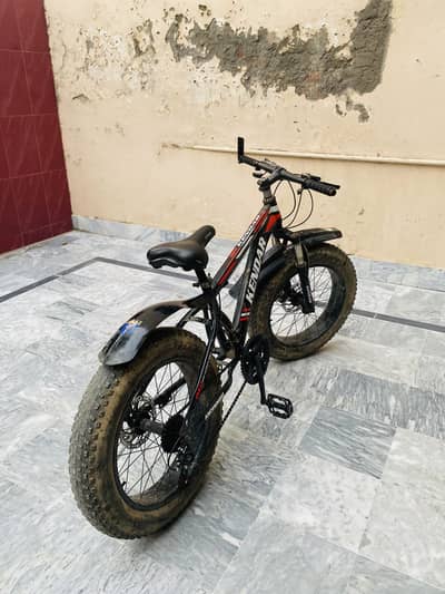 FAT BICYCLE