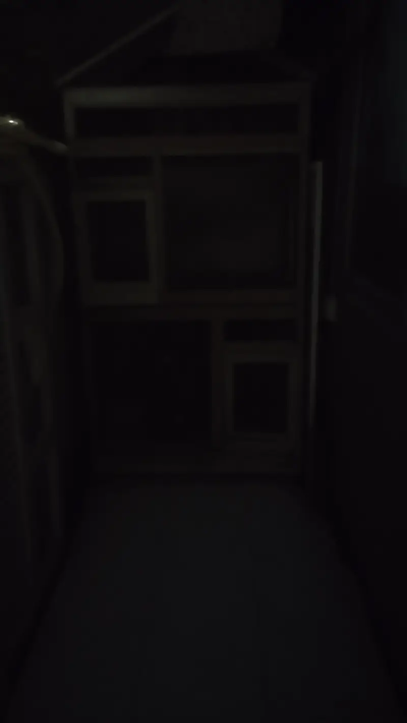 Wood cage + Steel cage — photo 2