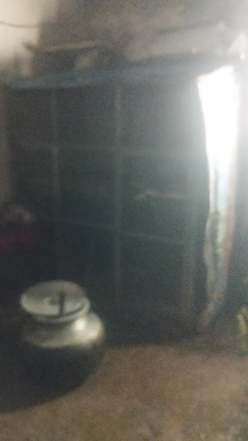 Wood cage + Steel cage — photo 3