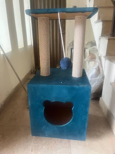 Scratch square box for CATS