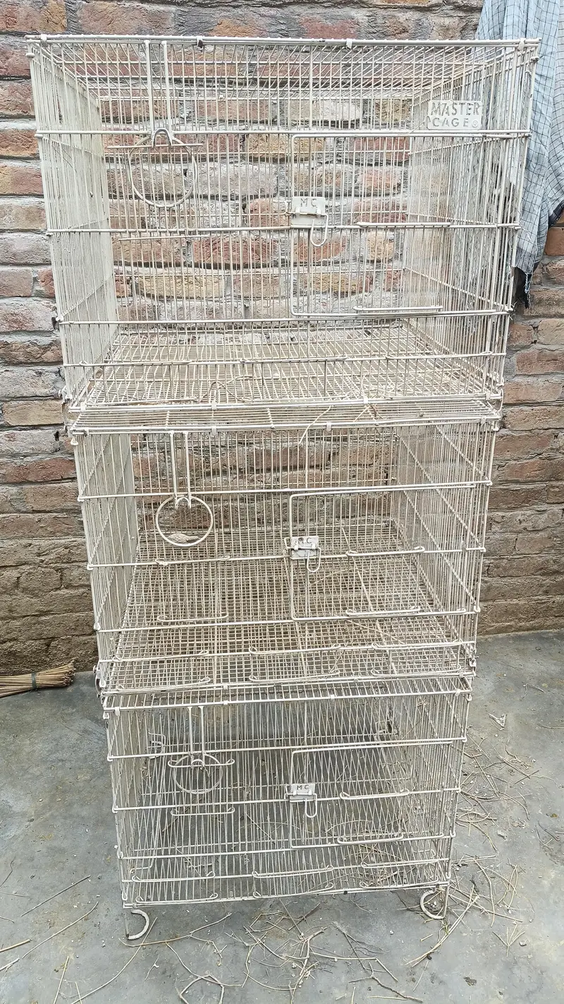 1 Master Folding Cage — photo 2