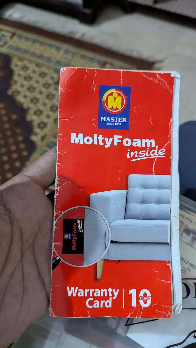 Sofa Bed/Convertible Sofa 2
