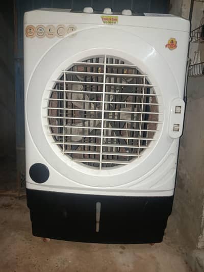 full size Hy AC collar