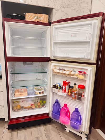 Pel fridge for sale