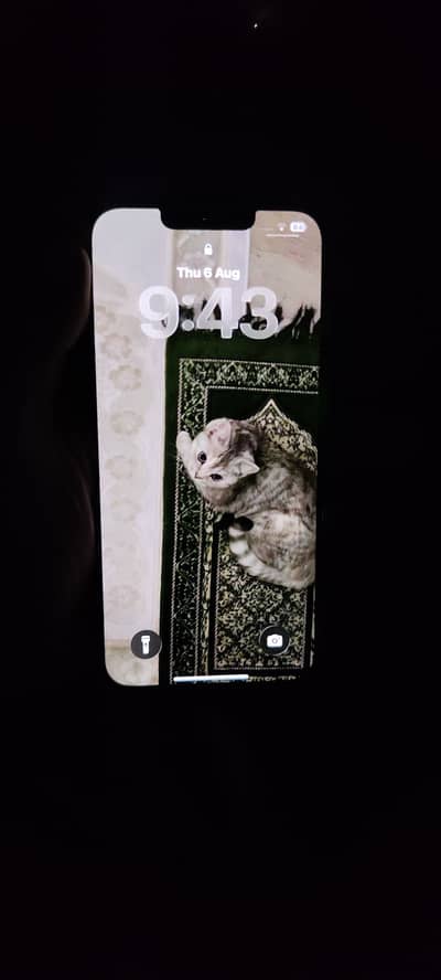 Apple iPhone 13
