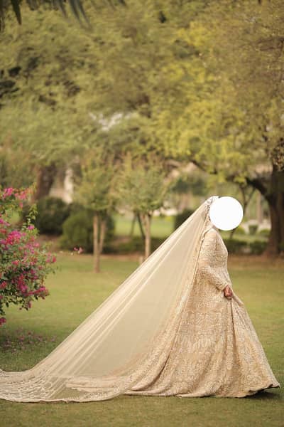 Wedding dress with veil