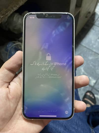 Apple iPhone 12 icloud