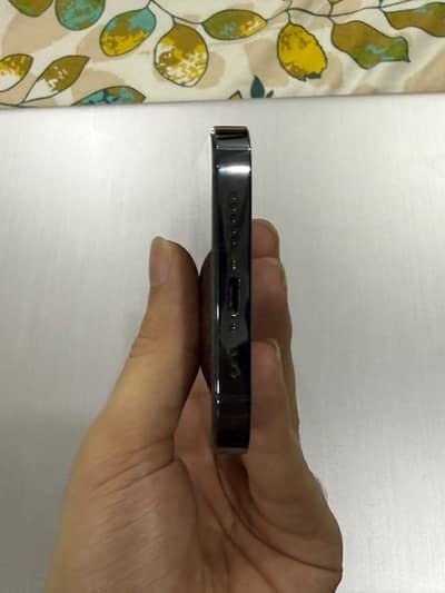 Apple iPhone 12 Pro
