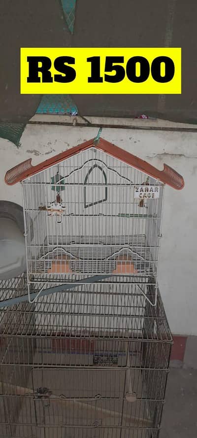 Cocktail cages for sale.