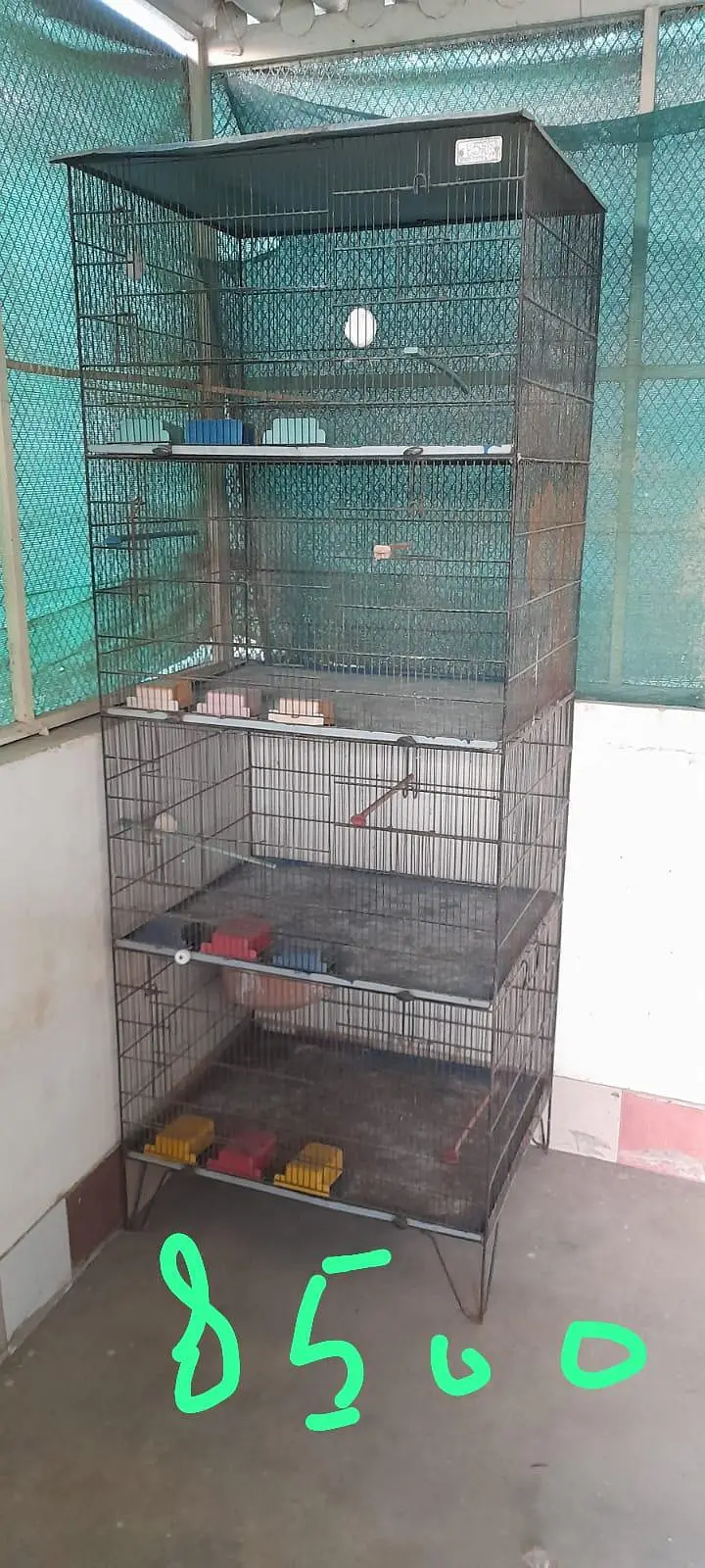 Cocktail cages for sale. — photo 2