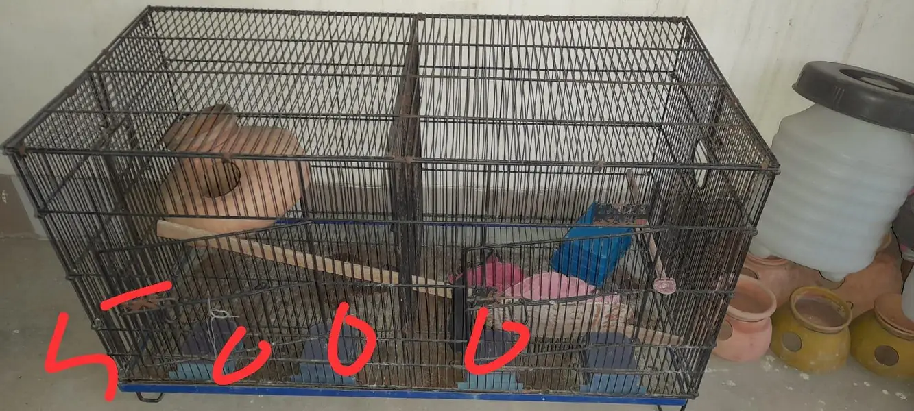 Cocktail cages for sale. — photo 3