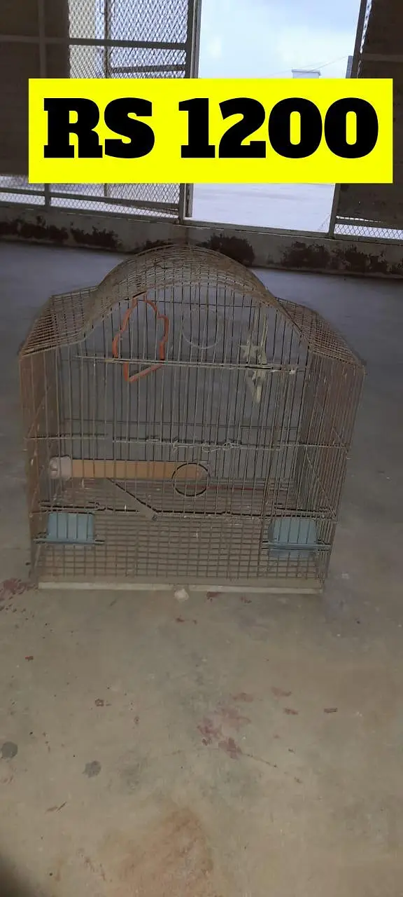 Cocktail cages for sale. — photo 6