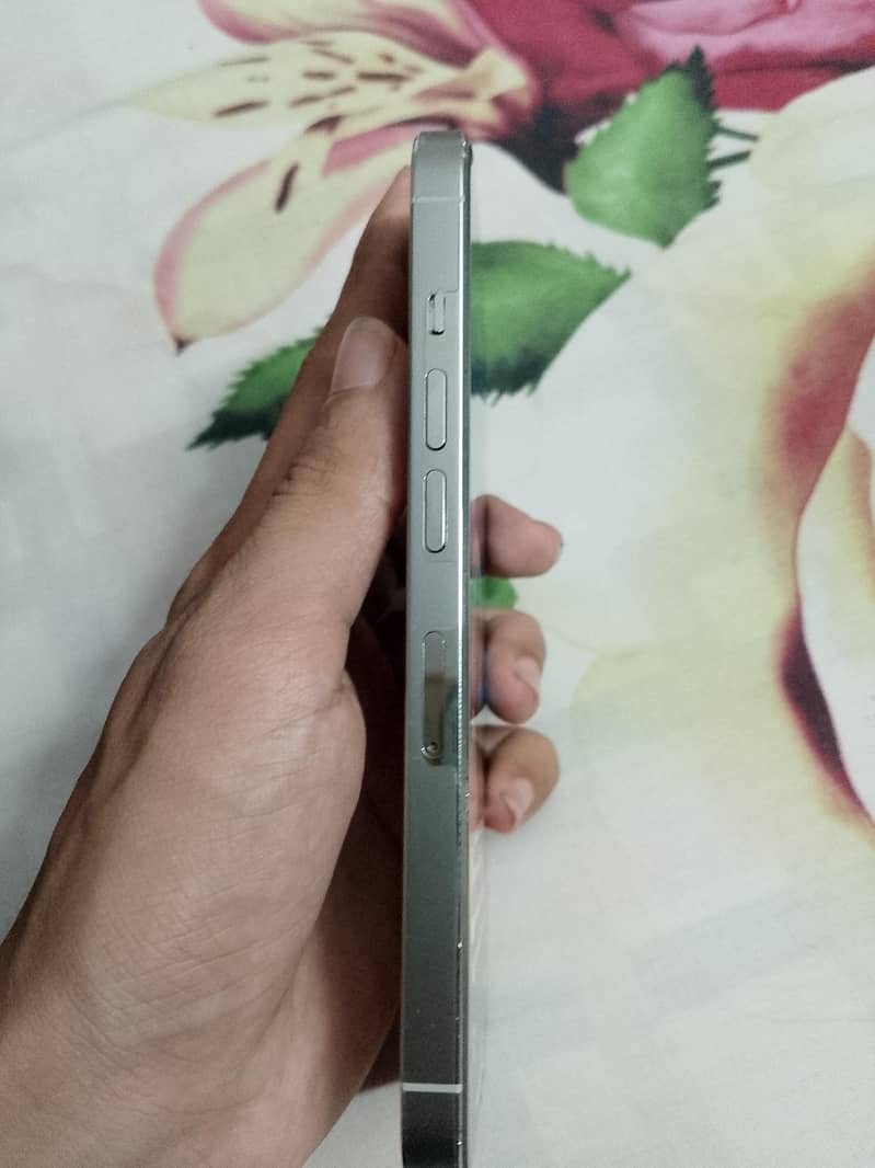 Apple iPhone 13 Pro 4