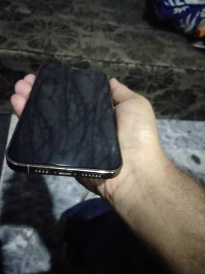 Apple iPhone 12 Pro Max