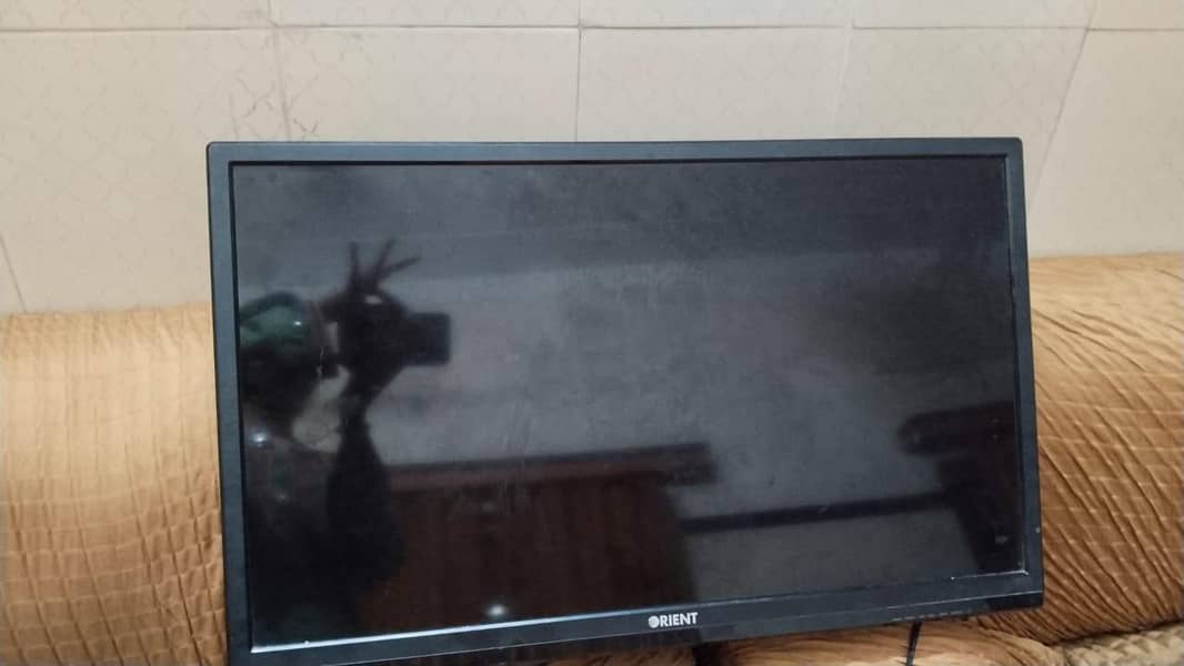orient LCD 3
