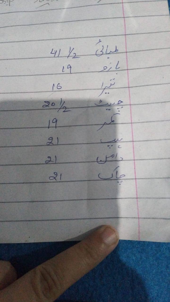 langha 6