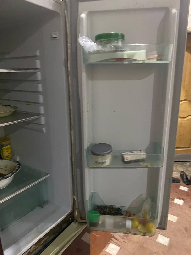 fridge 3