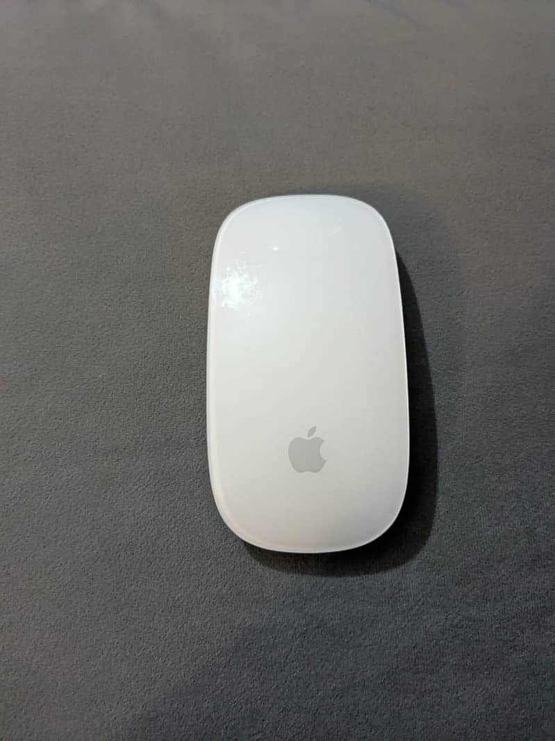 Apple Magic Mouse 2 0
