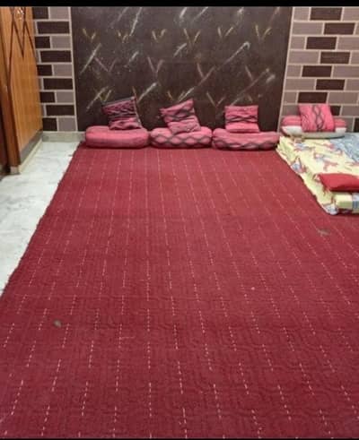 carpet and floor foam for sale