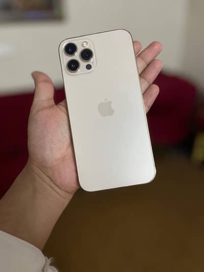 Apple iPhone 12 Pro Max