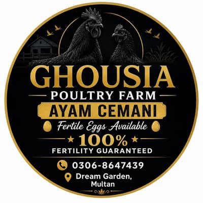Ayam cemani