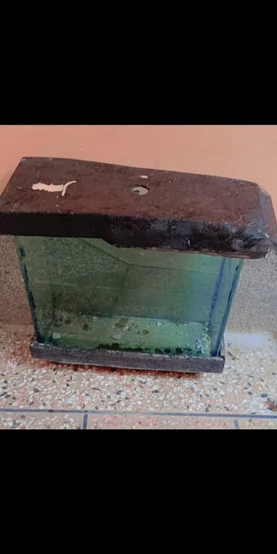 Fish Aquarium