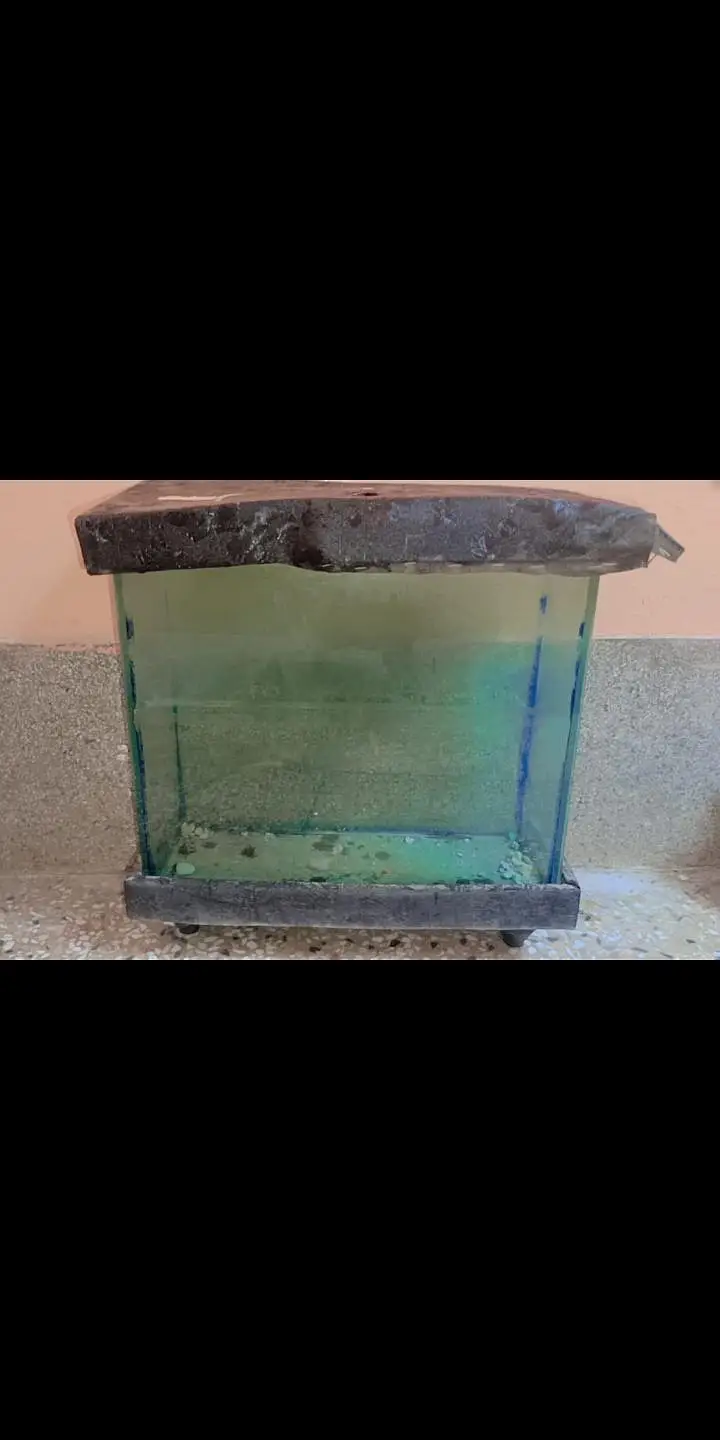 Fish Aquarium — photo 2