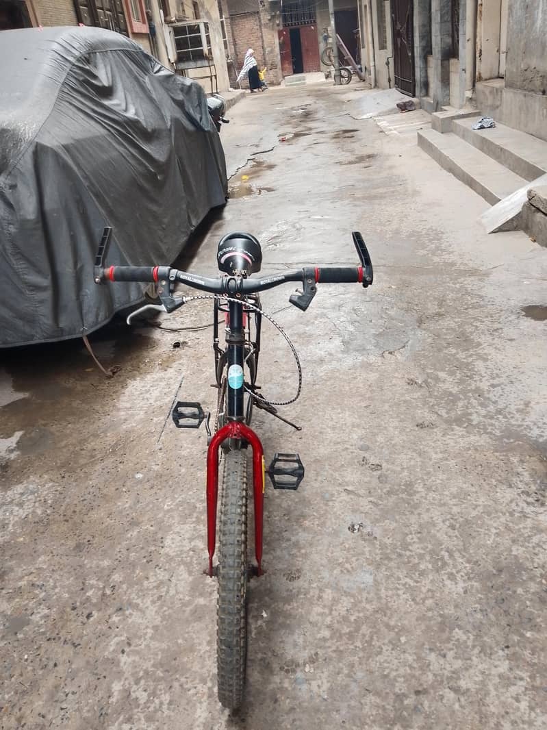 bicycle 1