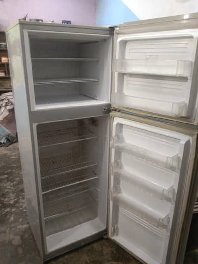 pel fridge full size new
