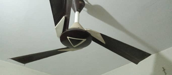 GFC Ceiling Fan Monet 56" 80 Watts 2 Fans. 7000 Each.