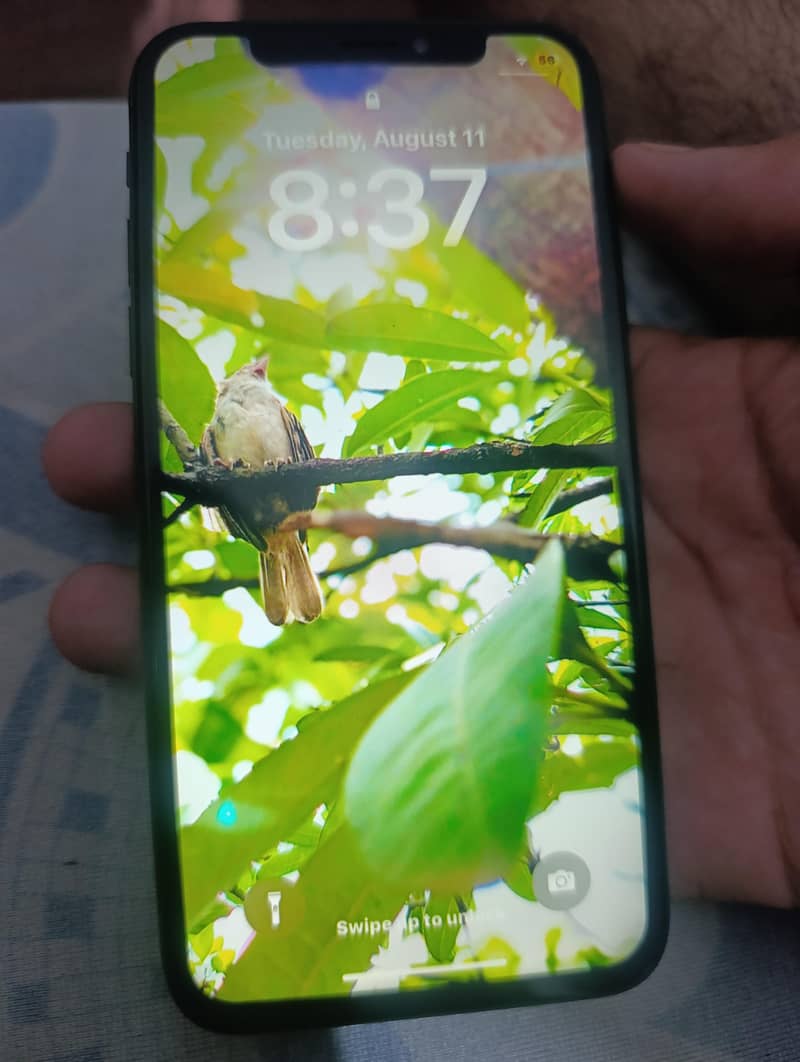 iPhone x 1