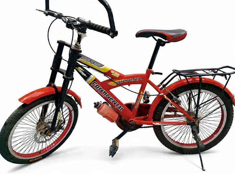 Black Eagle Bicycle 0