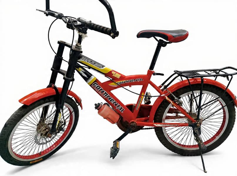 Black Eagle Bicycle 2