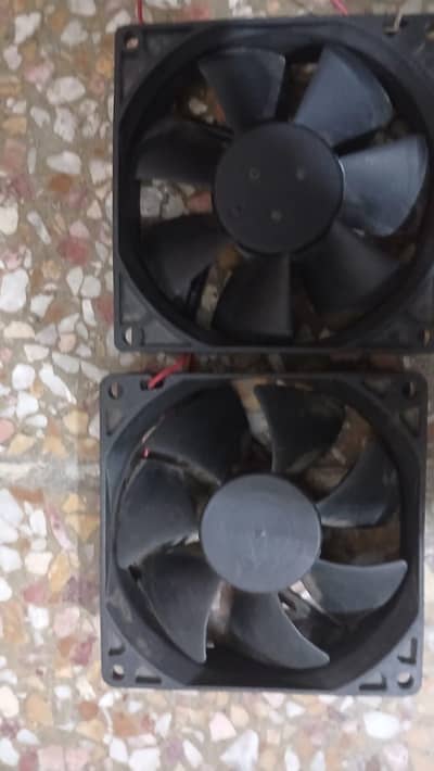 pack of six fans
