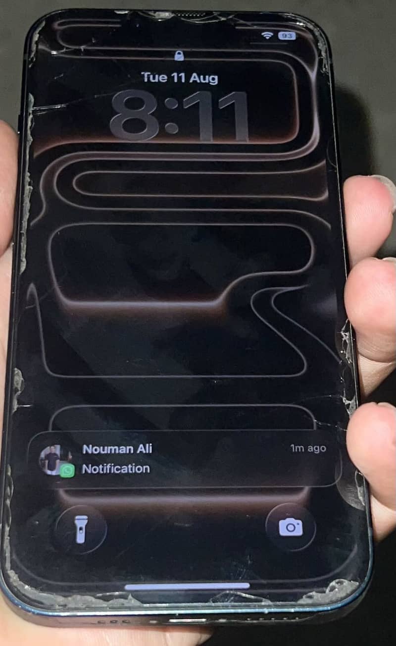 Apple iPhone 13 0