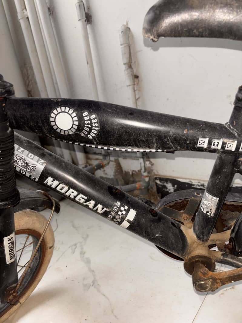 Morgan Cycle 5