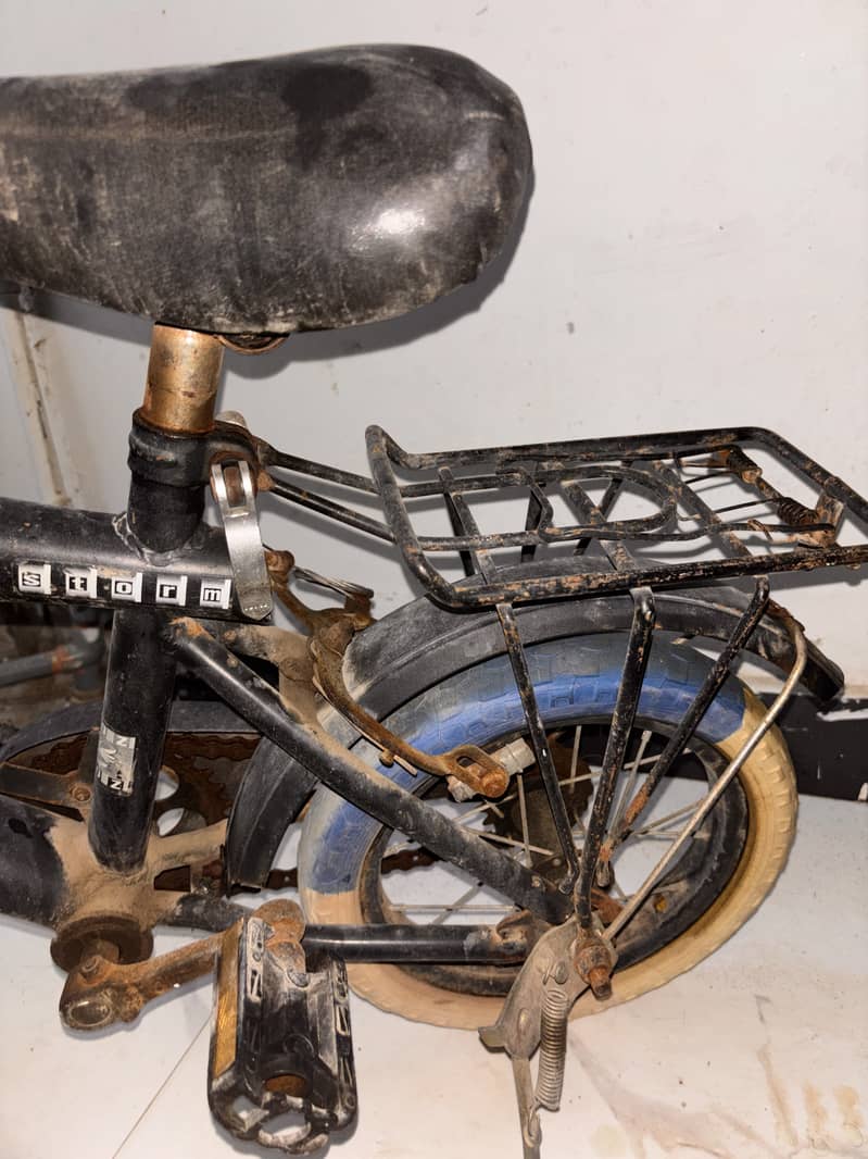 Morgan Cycle 8