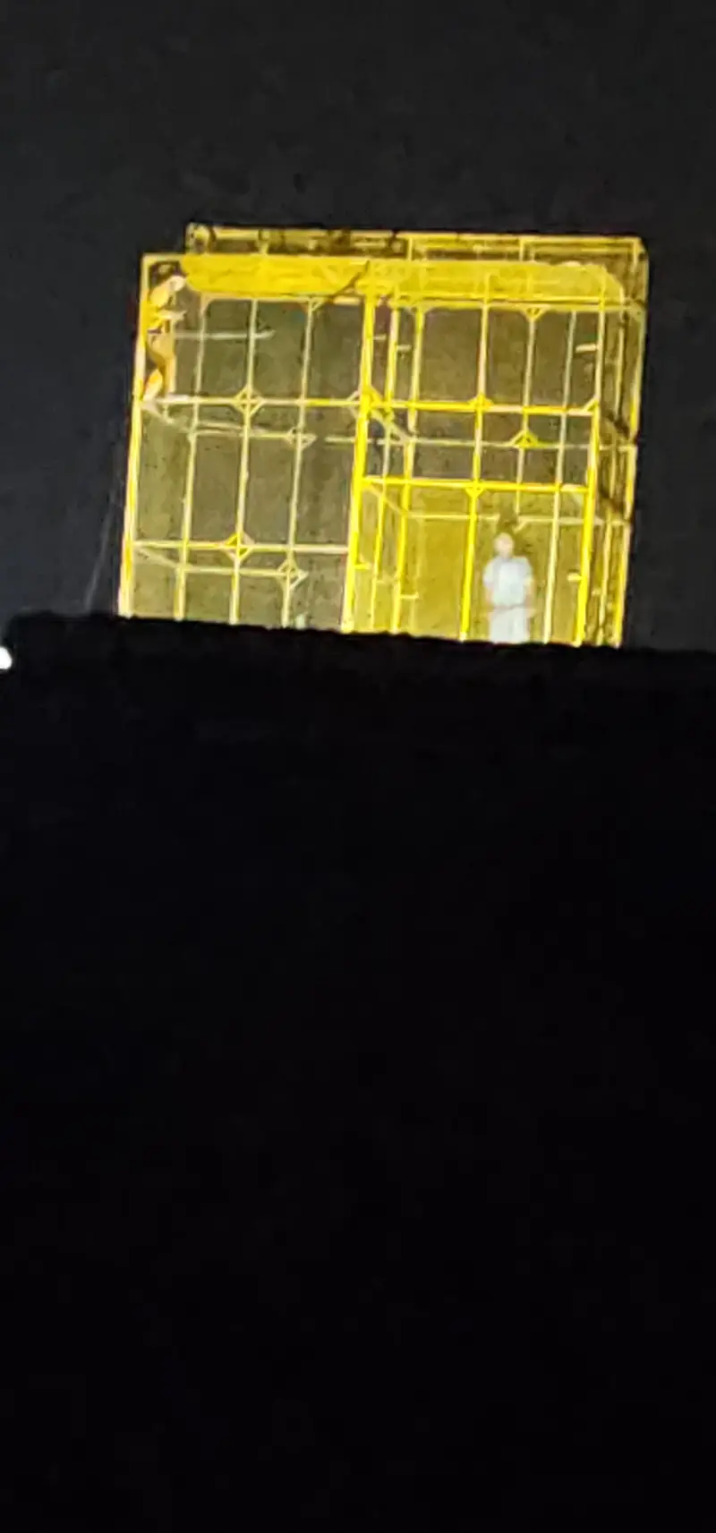 2 Peigon cages for sale — photo 5