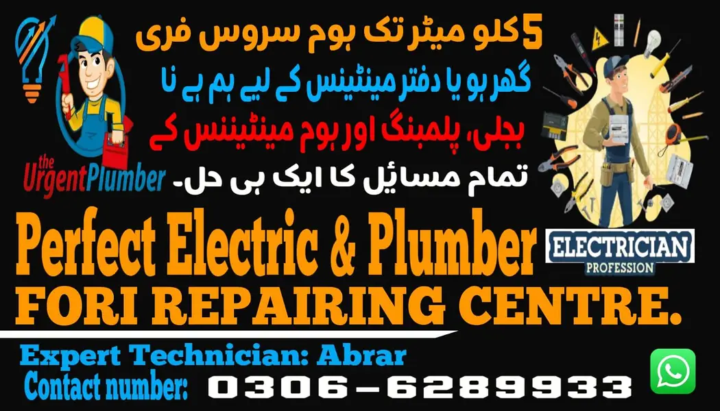 Electric & plumber professional service. 306 / 6289933