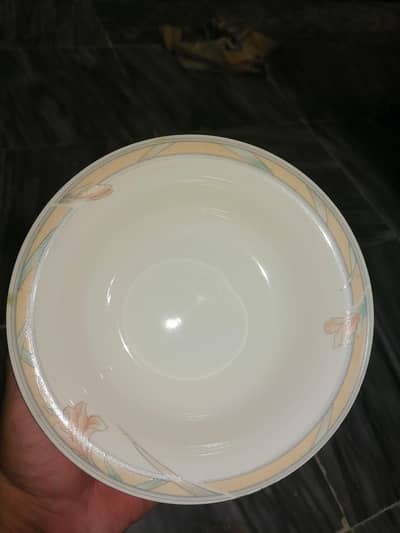 is ma plats 6pic  6pic  ha aur bowl 4 pic ha