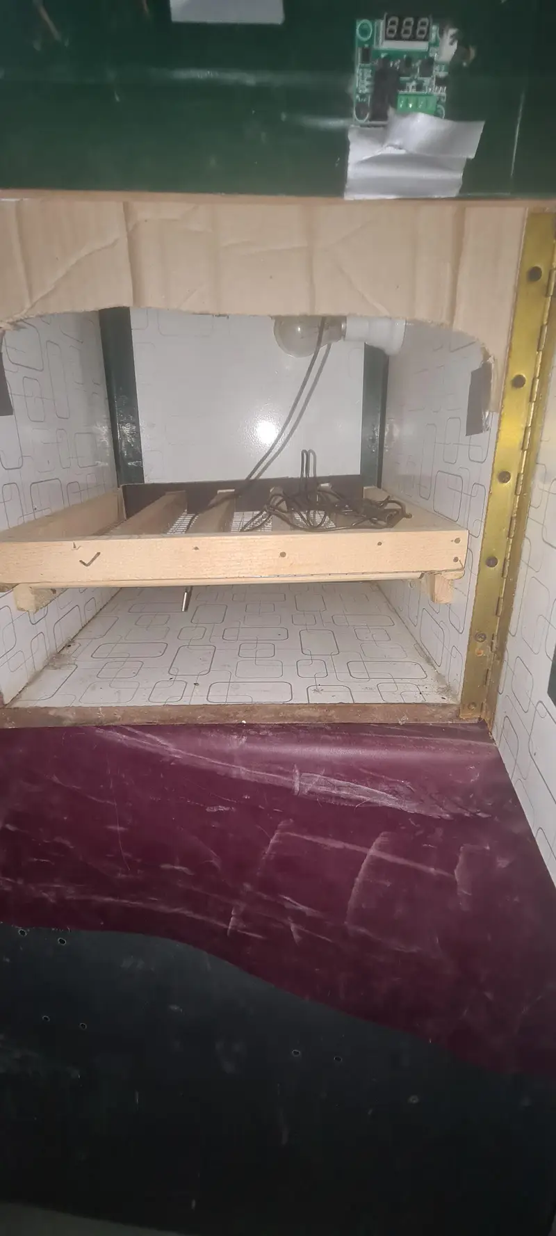 egg incubator hatchery — photo 3