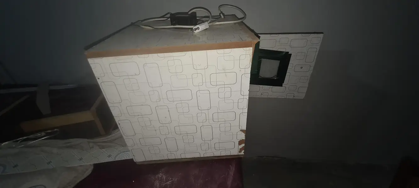 egg incubator hatchery — photo 4