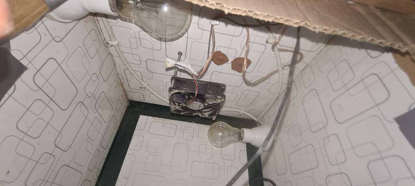 egg incubator hatchery 4