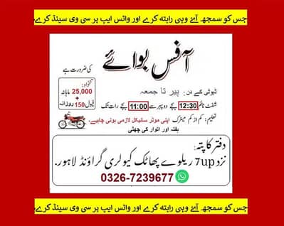 Office Boy Job